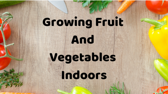 Growing Fruit And Vegetables Indoors